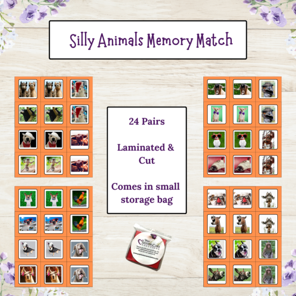 Memory Match Cards-Multiple Designs - Image 4